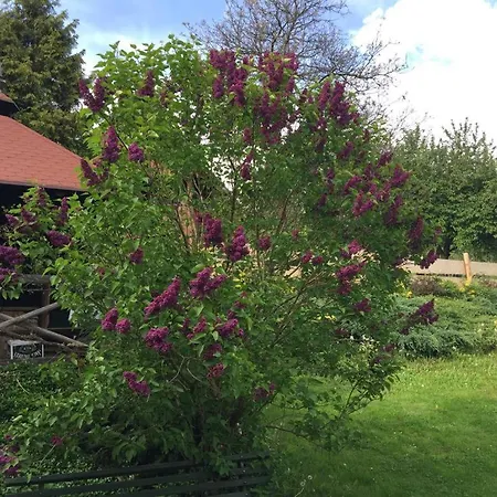 Bed & Breakfast U Janka