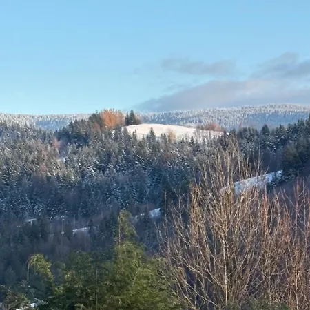 Bed & Breakfast U Janka 3*