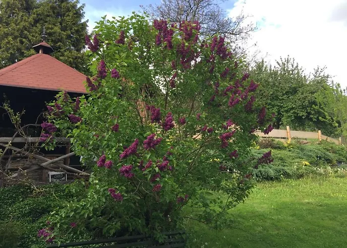 לינה וארוחת בוקר U Janka