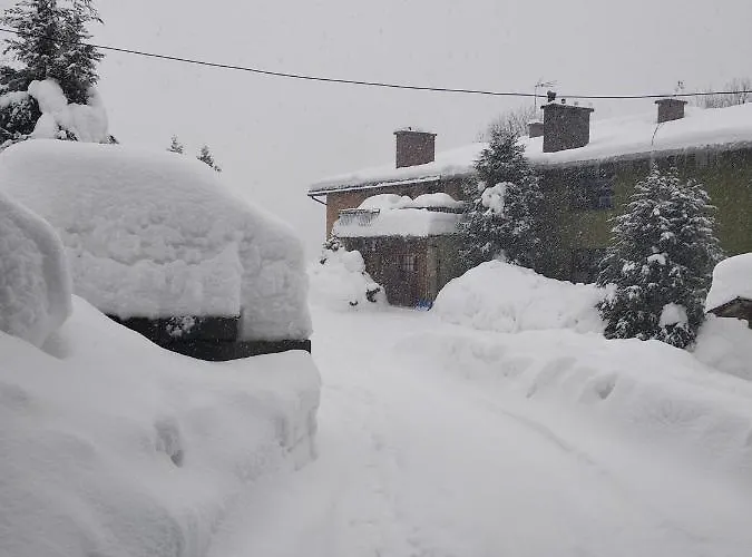 U Janka ויסלאו