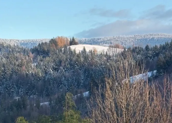 לינה וארוחת בוקר U Janka 3*